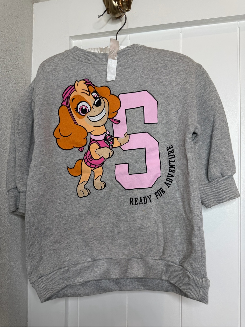 Zara Grey Sweatshirt with Pink Puppy & Number Graphic